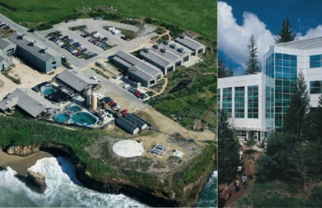 split image of coastal sciences campus and earth and marine sciences