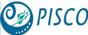 PISCO logo graphic