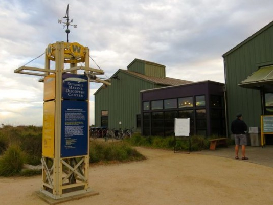 image of seymour marine discovery center