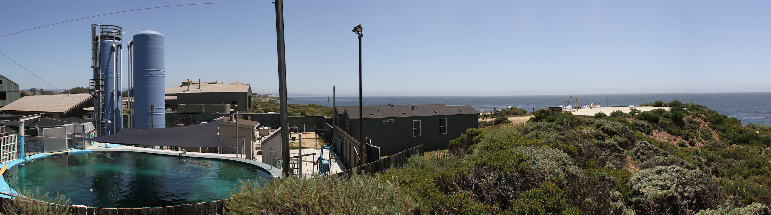 Coastal Science Campus overlook