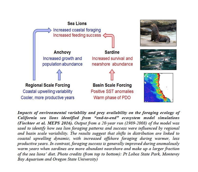  Impacts of environmental variability and prey availability on the foraging ecology of California sea lions identified from “end-to-end” ecosystem model simulations (Fiechter et al. MEPS 2016