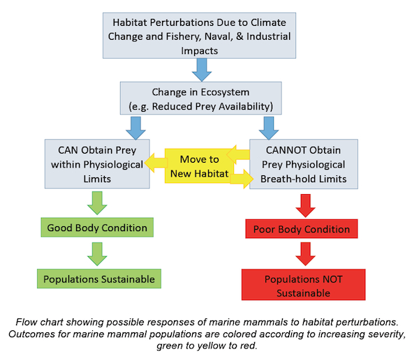 Flow chart showing possible responses of marine mammals to habitat perturbations.