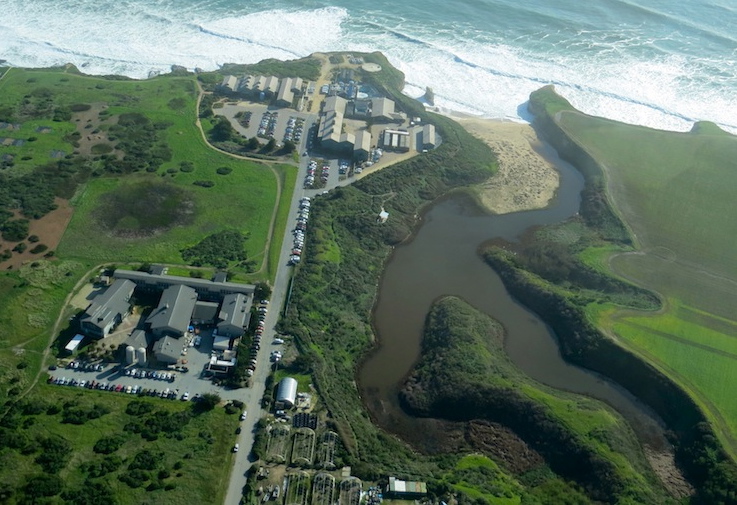 aerial view of younger lagoon reserve and coastal science campus