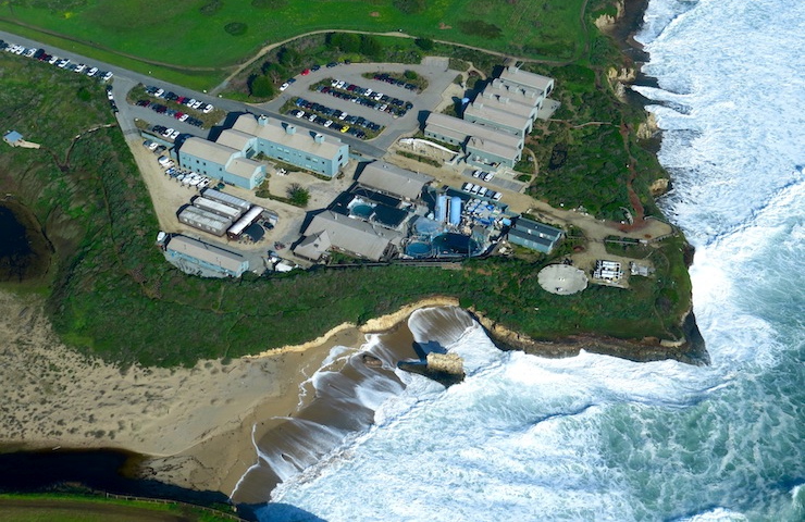 aerial view of Joseph M. Long Marine Laboratory