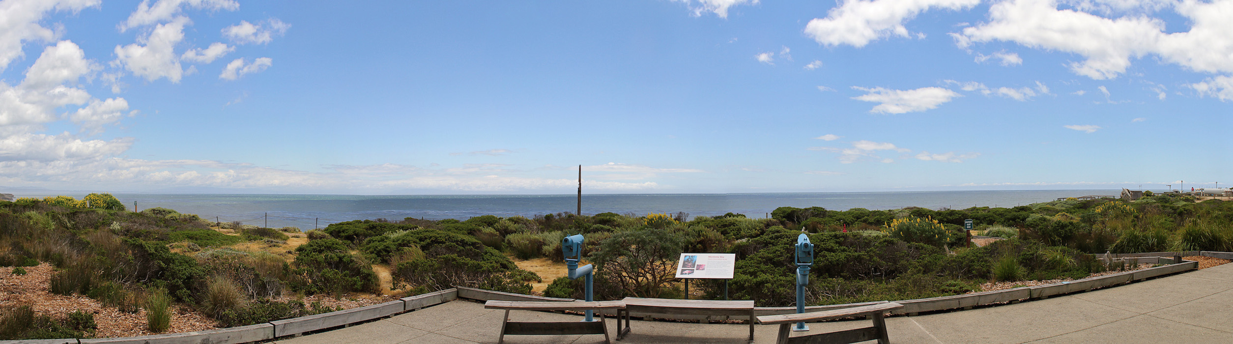 panoramic of seymour center