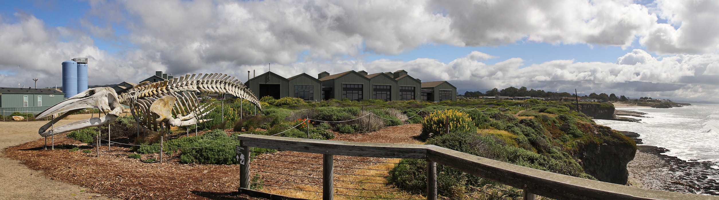 Institute of Marine Sciences