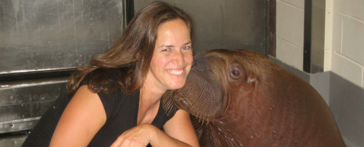 researcher with walrus calf 